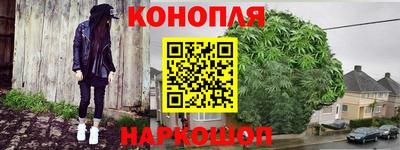 прущие грибы Аша