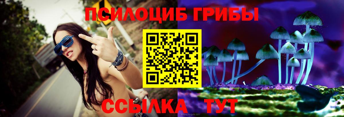 Галлюциногенные грибы Psilocybe  Вход с VPN  магазин    Димитровград 